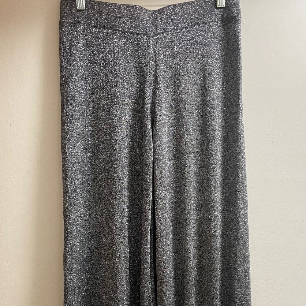 Sparkly Zara Knit Pants NWT